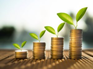 مشاريع استثمارية صغيرة في الإمارات