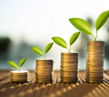 مشاريع استثمارية صغيرة في الإمارات