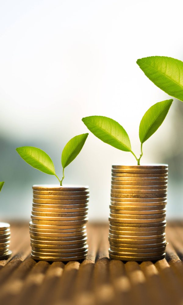مشاريع استثمارية صغيرة في الإمارات