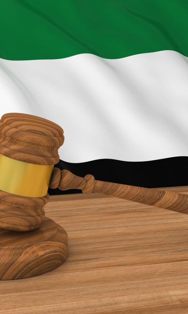 الضريبة الانتقائية في الإمارات