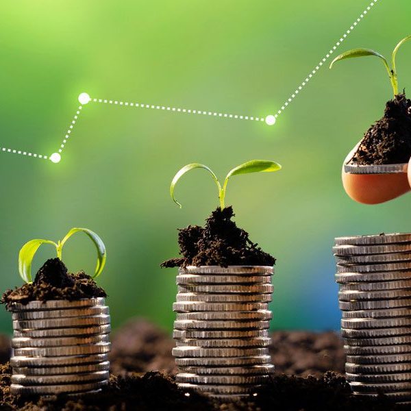 قانون الضرائب للمشروعات الصغيرة