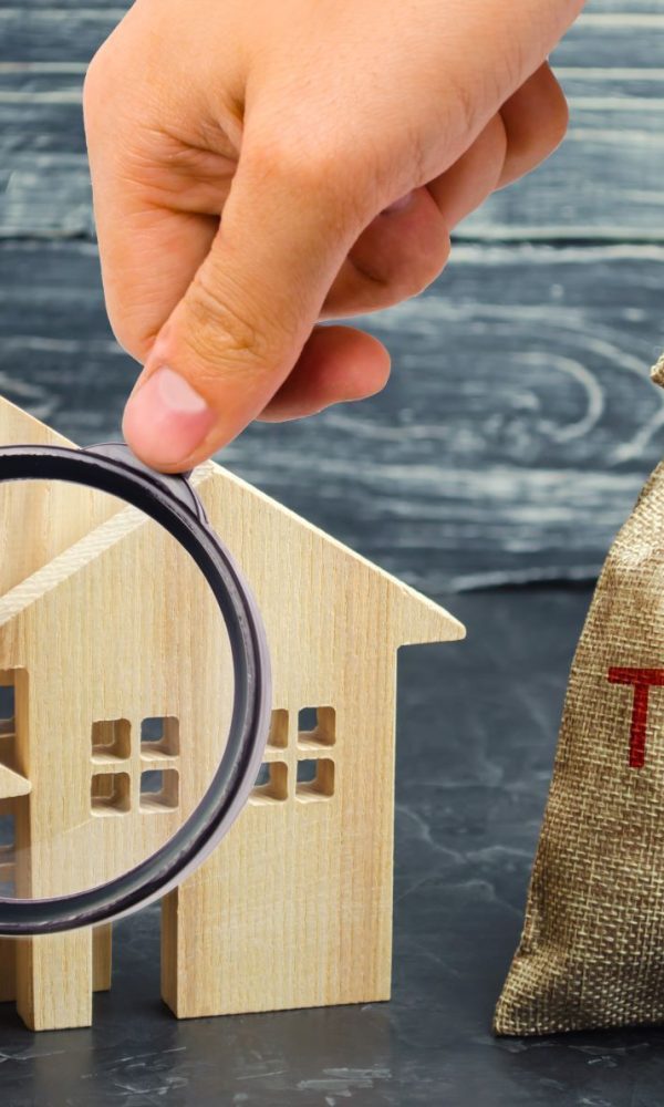 Tax Law for Small Business