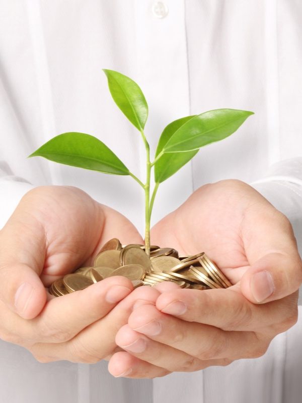 رسوم الزكاة