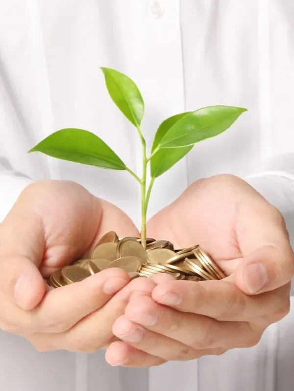 Zakat and Income Tax