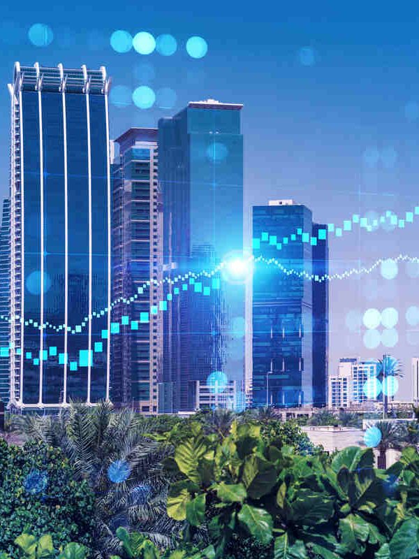 UAE Startup Ecosystem