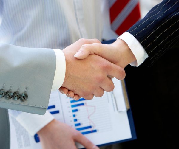 أنواع الشركات في الإمارات